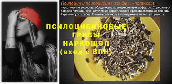 прущий лед Михайловка