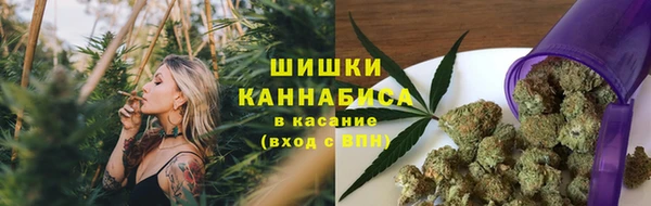 прущая мука Михайлов