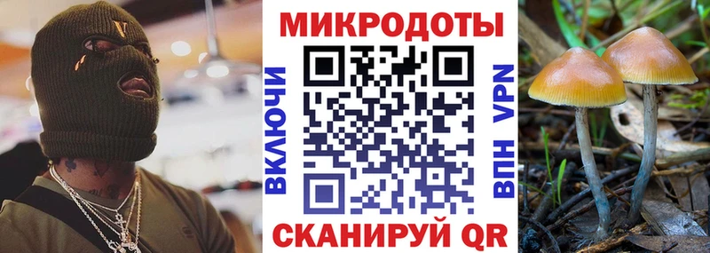 Галлюциногенные грибы Cubensis  Жуковка 